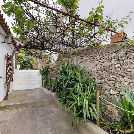 Appartement Portas De I I Caminha